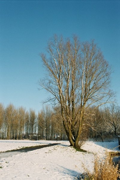 2004010201 sneeuw
